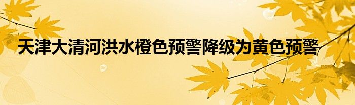 天津大清河洪水橙色预警降级为黄色预警