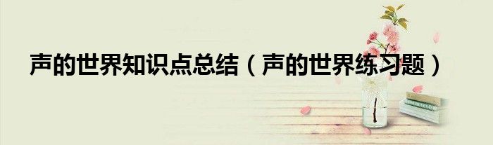声的世界知识点总结(声的世界练习题)