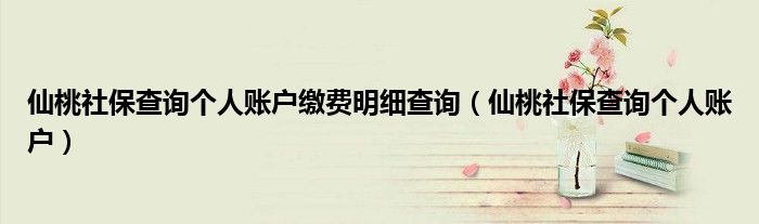 仙桃社保查询个人账户缴费明细查询(仙桃社保查询个人账户)