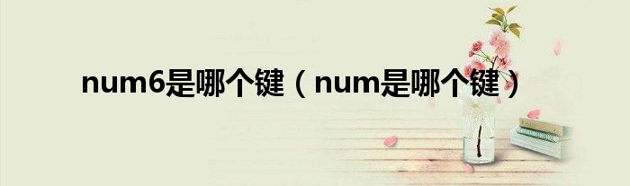 num6是哪个键(num是哪个键)