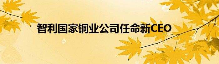 智利国家铜业公司任命新CEO