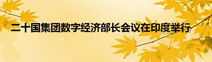 二十国集团数字经济部长会议在印度举行