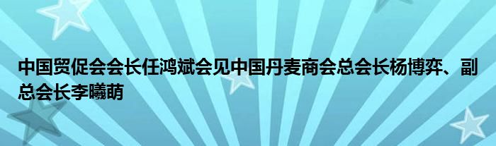 中国贸促会会长任鸿斌会见中国丹麦商会总会长杨博弈、副总会长李曦萌