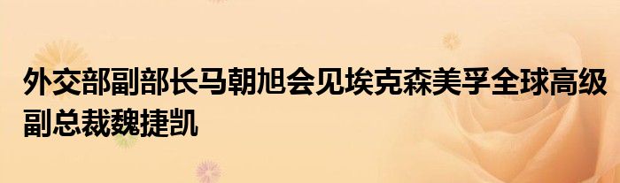 外交部副部长马朝旭会见埃克森美孚全球高级副总裁魏捷凯