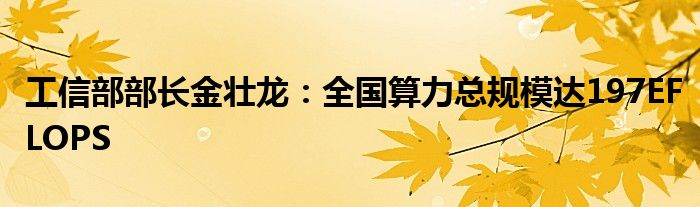 工信部部长金壮龙:全国算力总规模达197EFLOPS