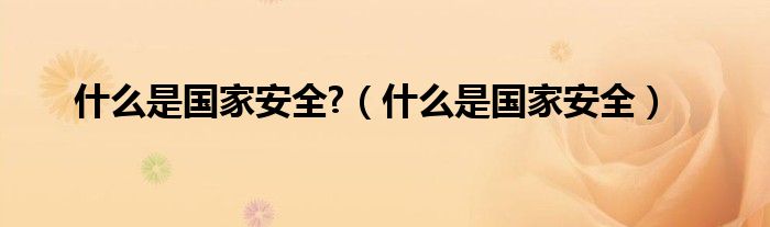 什么是国家安全?(什么是国家安全)