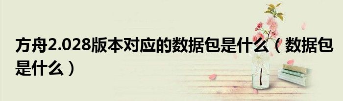 方舟2.028版本对应的数据包是什么(数据包是什么)