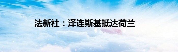 法新社:泽连斯基抵达荷兰
