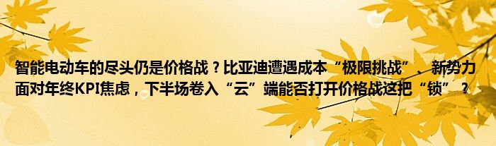 智能电动车的尽头仍是价格战?比亚迪遭遇成本“极限挑战”、新势力面对年终KPI焦虑,下半场卷入“云”端能否打开价格战这把“锁”?