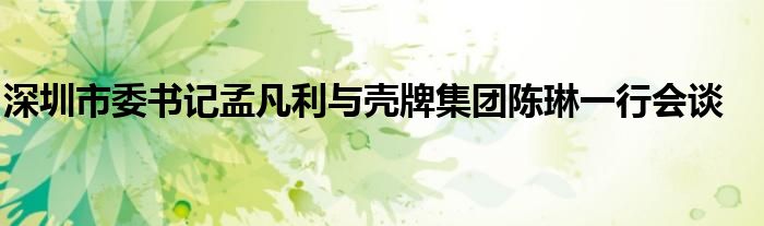 深圳市委书记孟凡利与壳牌集团陈琳一行会谈
