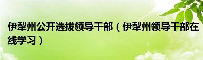 伊犁州公开选拔领导干部(伊犁州领导干部在线学习)