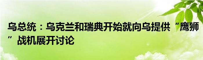 乌总统:乌克兰和瑞典开始就向乌提供“鹰狮”战机展开讨论