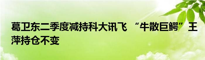 葛卫东二季度减持科大讯飞 “牛散巨鳄”王萍持仓不变