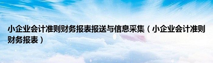 小企业会计准则财务报表报送与信息采集(小企业会计准则财务报表)