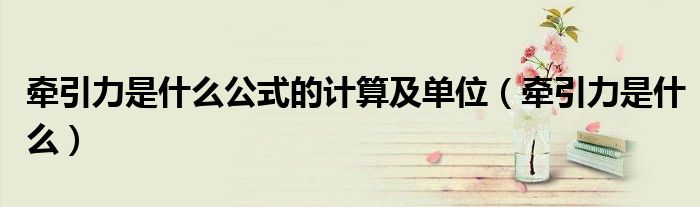 牵引力是什么公式的计算及单位(牵引力是什么)
