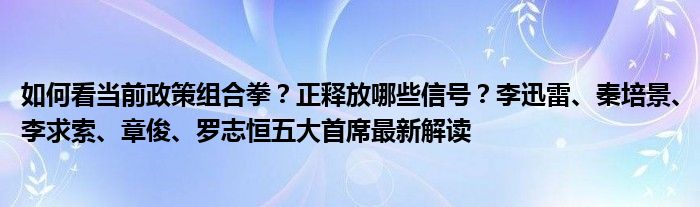 如何看当前政策组合拳?正释放哪些信号?李迅雷、秦培景、李求索、章俊、罗志恒五大首席最新解读