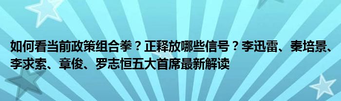 如何看当前政策组合拳?正释放哪些信号?李迅雷、秦培景、李求索、章俊、罗志恒五大首席最新解读