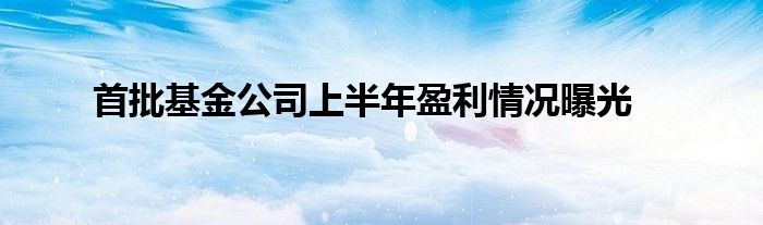 首批基金公司上半年盈利情况曝光