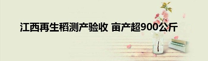 江西再生稻测产验收 亩产超900公斤