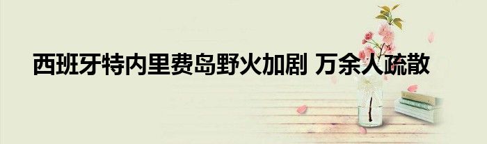 西班牙特内里费岛野火加剧 万余人疏散