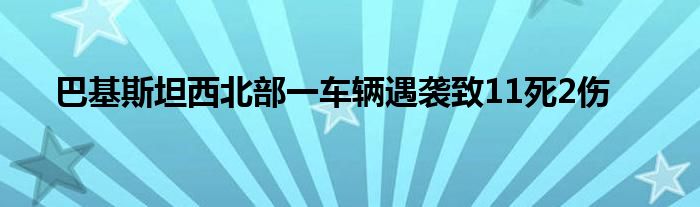 巴基斯坦西北部一车辆遇袭致11死2伤