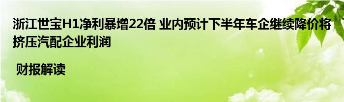 浙江世宝H1净利暴增22倍 业内预计下半年车企继续降价将挤压汽配企业利润 | 财报解读