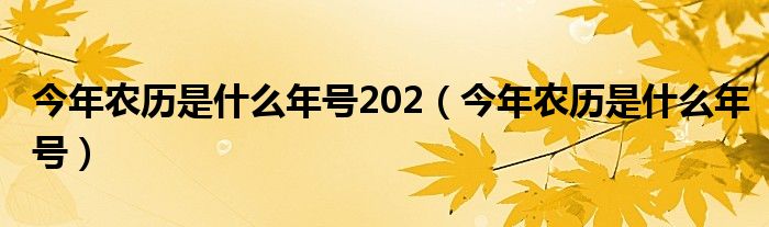 今年农历是什么年号202(今年农历是什么年号)