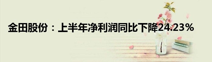 金田股份:上半年净利润同比下降24.23%