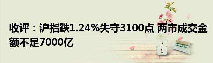 收评:沪指跌1.24%失守3100点 两市成交金额不足7000亿
