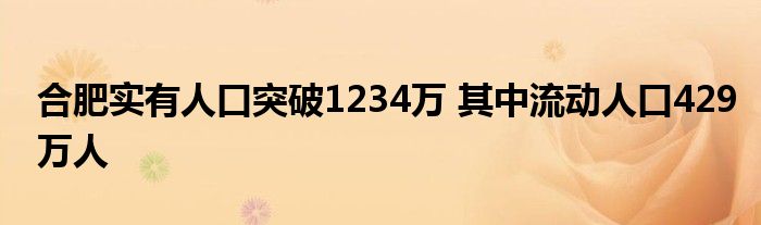 合肥实有人口突破1234万 其中流动人口429万人