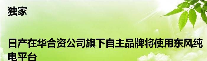 独家|日产在华合资公司旗下自主品牌将使用东风纯电平台