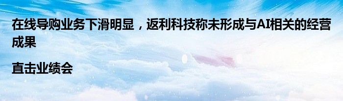 在线导购业务下滑明显,返利科技称未形成与AI相关的经营成果|直击业绩会