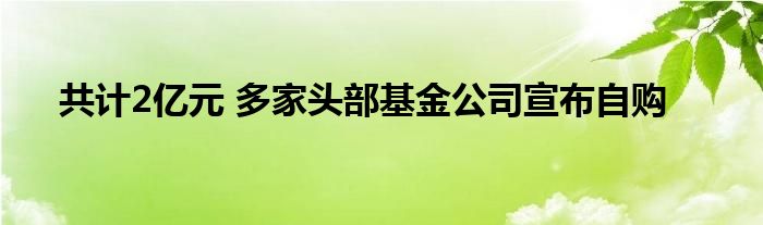 共计2亿元 多家头部基金公司宣布自购