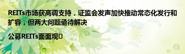 REITs市场获高调支持,证监会发声加快推动常态化发行和扩容,但两大问题亟待解决|公募REITs面面观⑫
