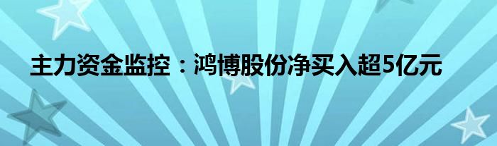 主力资金监控:鸿博股份净买入超5亿元