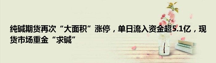 纯碱期货再次“大面积”涨停,单日流入资金超5.1亿,现货市场重金“求碱”