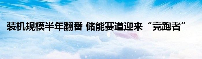 装机规模半年翻番 储能赛道迎来“竞跑者”