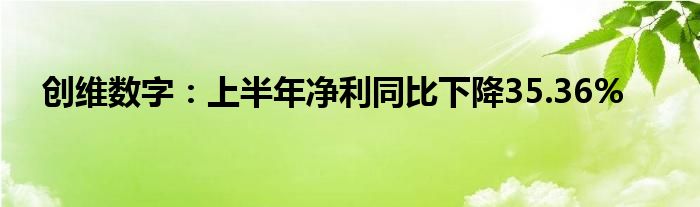 创维数字：上半年净利同比下降35.36%