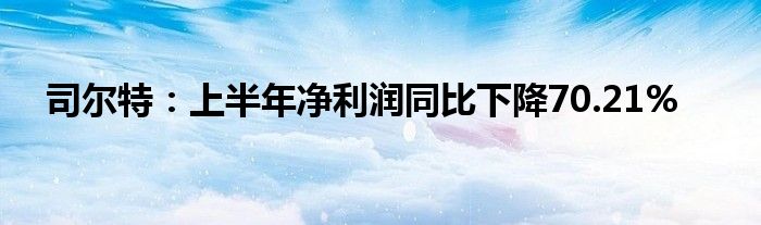 司尔特：上半年净利润同比下降70.21%