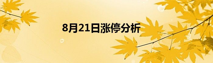 8月21日涨停分析