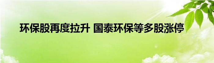 环保股再度拉升 国泰环保等多股涨停