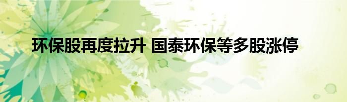 环保股再度拉升 国泰环保等多股涨停