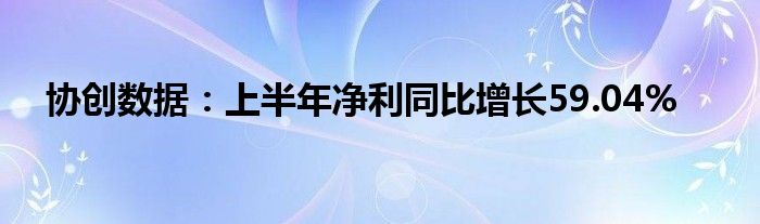 协创数据：上半年净利同比增长59.04%