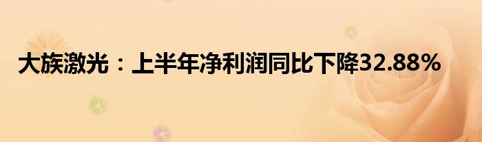 大族激光：上半年净利润同比下降32.88%