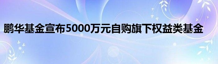 鹏华基金宣布5000万元自购旗下权益类基金