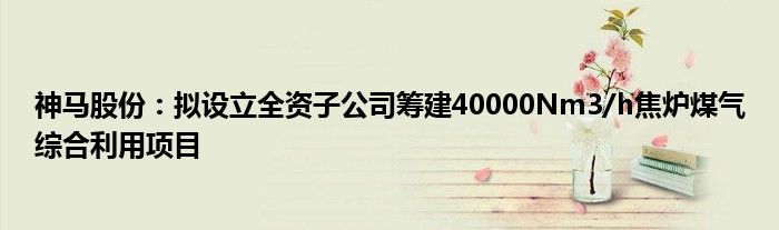 神马股份:拟设立全资子公司筹建40000Nm3/h焦炉煤气综合利用项目