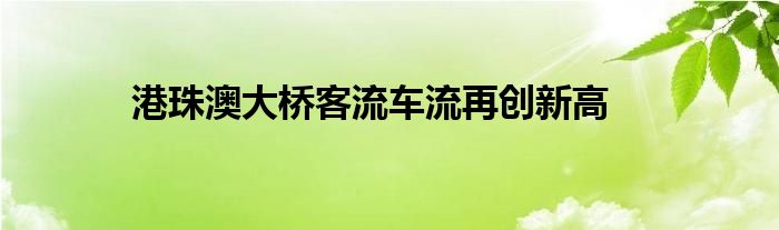 港珠澳大桥客流车流再创新高