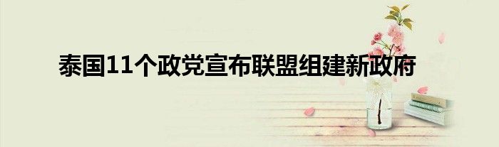 泰国11个政党宣布联盟组建新政府