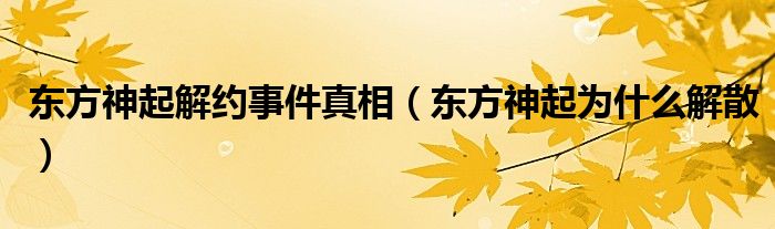 东方神起解约事件真相(东方神起为什么解散)