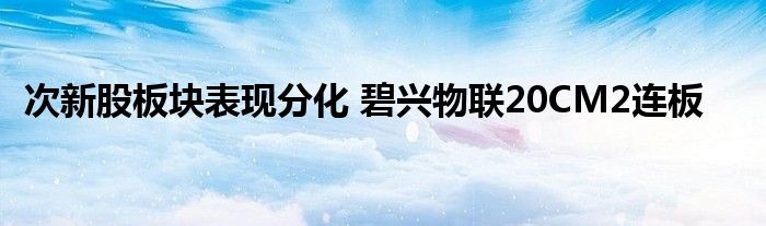 次新股板块表现分化 碧兴物联20CM2连板